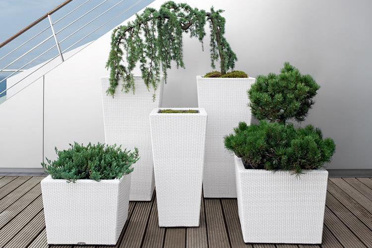 藤编花箱YT-B01 应用效果展示